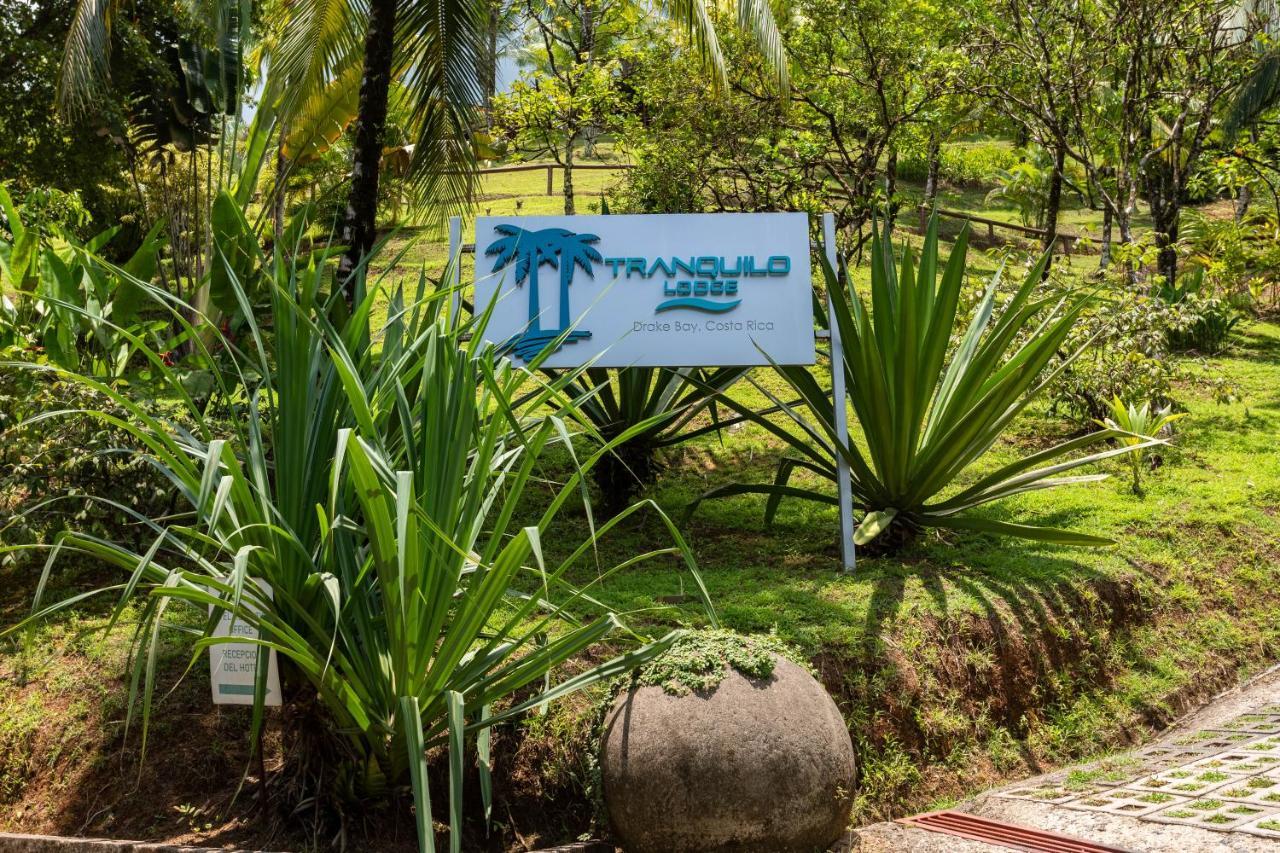 The Tranquilo Lodge, Adult Only, All Meals Included Drake Bay Zewnętrze zdjęcie